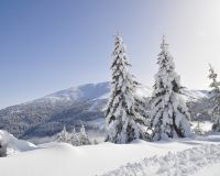 Winterlandschaft Lungau